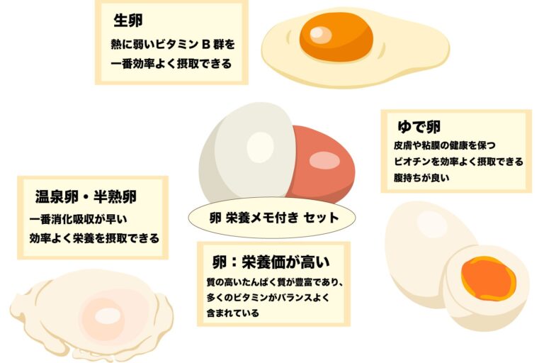 卵黄レシチン 【卵の力】 - 添加物事典 正しく学ぼう！添加物